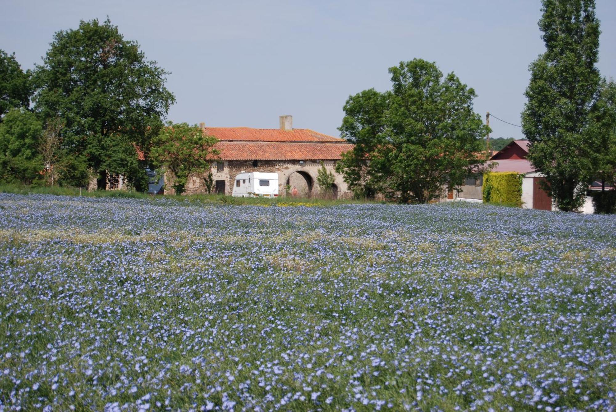 Chambre D'Hote Manoir De La Baudonniere Monsireigne Exterior photo