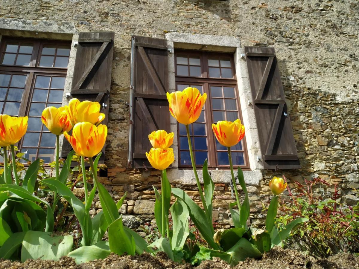 Chambre D'Hote Manoir De La Baudonniere Monsireigne Exterior photo